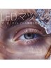 【リピーター様のみ】LED×フラットラッシュ60本